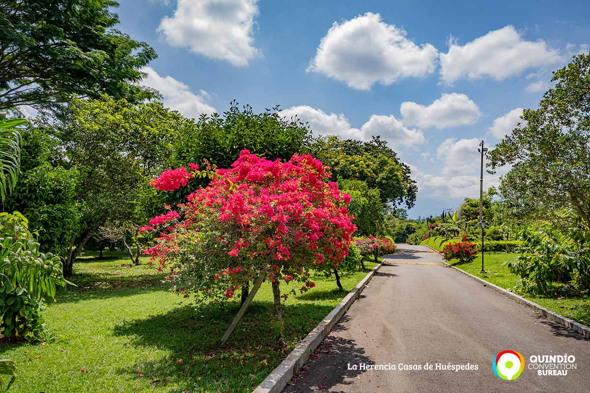 fotografias-25-quindio-convention-bureau-la-herencia