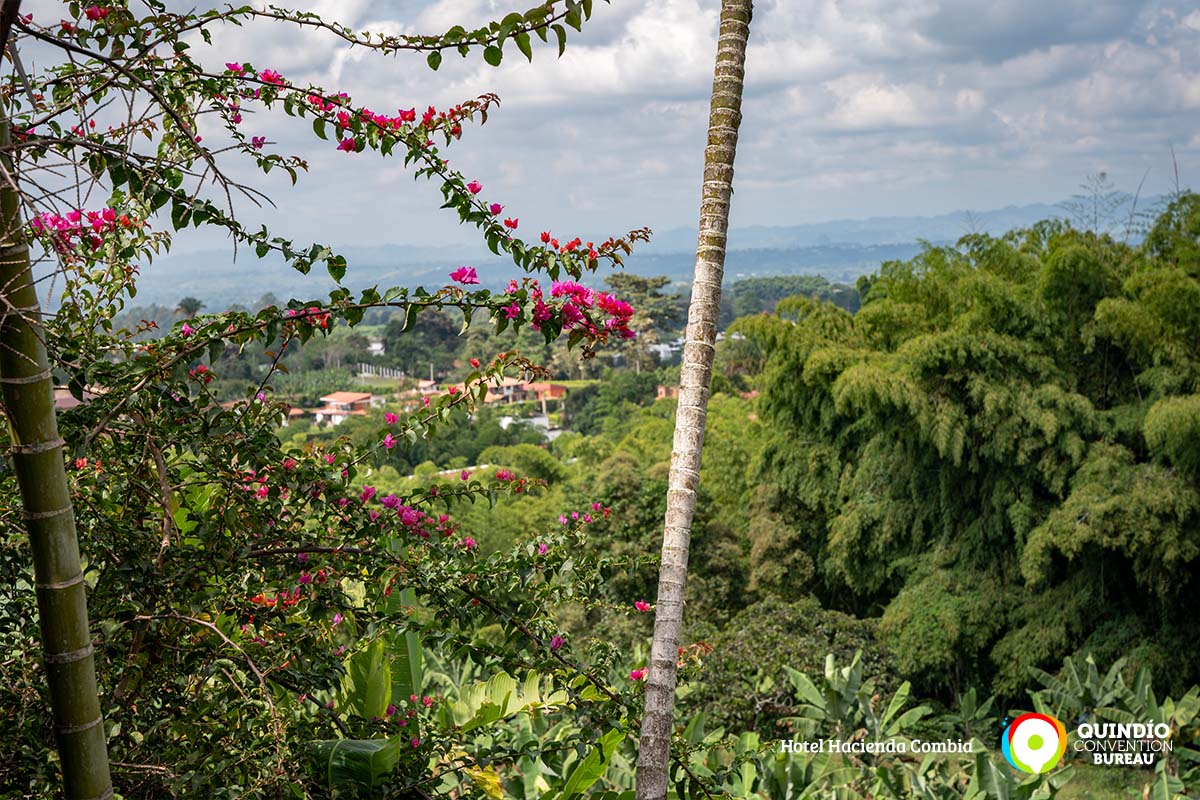 fotografias-26-quindio-convention-bureau-hacienda-combia